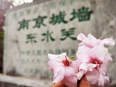 -东水关遗址公园