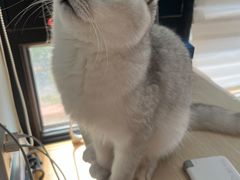 -宠爱国际动物医院·消化内科·心肾内科·ISFM猫友好(望京店)