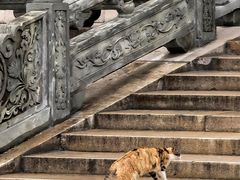 -高旻寺