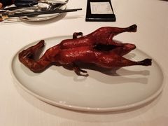 -东富酒家(龙湖西溪天街店)