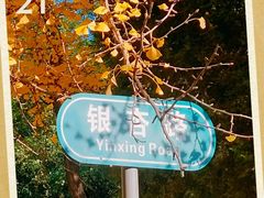 -辽宁大学(崇山校区)