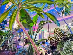 -桂满陇·蟹黄小笼汤包(清河万象店)