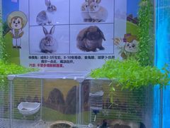 -汤姆熊欢乐世界(大连恒隆广场店)