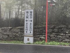 -庐山风景区花径公园
