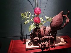 -觀芷隐轩