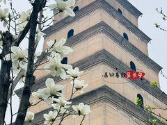 -大慈恩寺(大雁塔)
