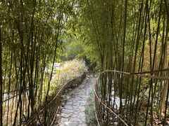 -竹子庵公园