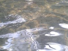 android_upload_pic-龙达温泉生态城