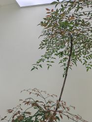 -HEYAN荷妍专业脱毛连锁机构