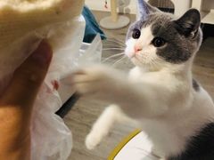 -白玉兰食品(甜云店)