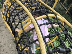-杭州少年儿童公园