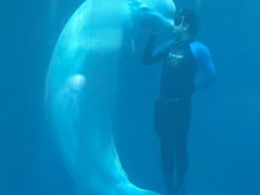 -石林冰雪海洋世界