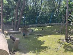 -哈尔滨北方森林动物园