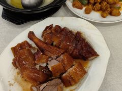 -姚林轩