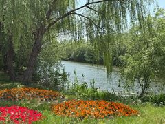 -溱湖国家湿地公园