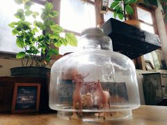 -懒鱼时光馆(沙坪坝店)