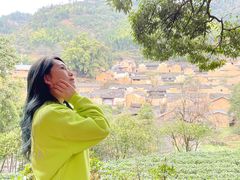 -杨家堂村
