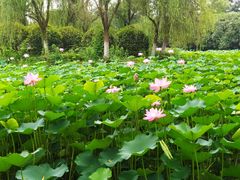 -常州奔牛国际机场