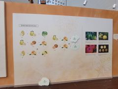 -上海中国航海博物馆