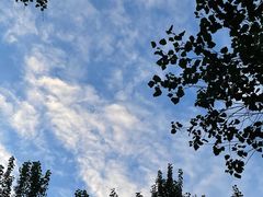 -长春公园(普阳街道)