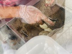 -叶氏麻糍(鼓浪屿店)