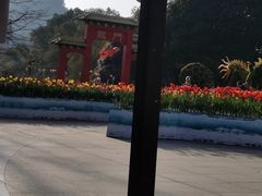 -南山植物园