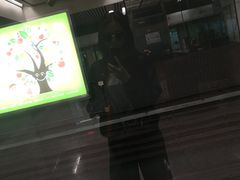 -大瓦窑(地铁站)