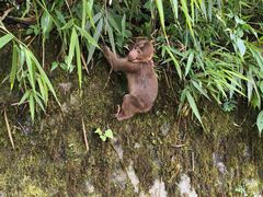 -西岭雪山大飞水景区