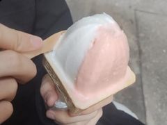-柠檬车露(卖草地店)