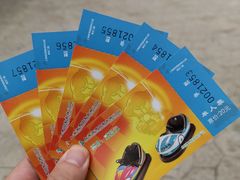 -上海海湾国家森林公园