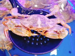 -澜悦港海鲜体验主题餐厅