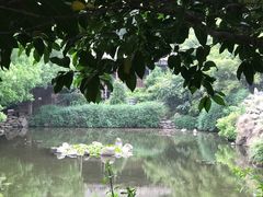 -九龙潭景区