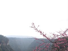 -广东大峡谷