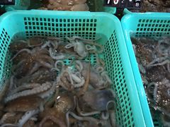 -浩运·海鲜青岛菜·海胆水饺(石老人店)