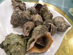 -四海蒸鲜蒸汽海鲜自助(北戴河店)