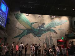 -奥兰多迪士尼动物王国乐园