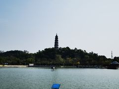 -顺峰山公园