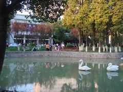 玻璃房-中共上海市委党校 上海行政学院