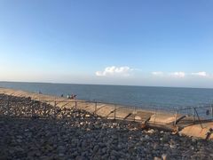 -东疆建设开发纪念公园