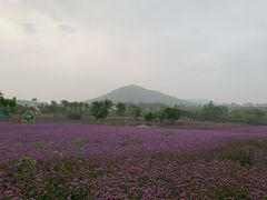 -安徽禾泉小镇