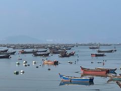 -春妮海味饭店·海景餐厅·海菜包子·大连海鲜