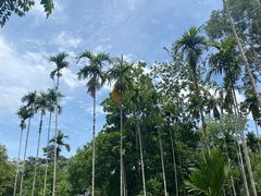 -中国科学院西双版纳热带植物园