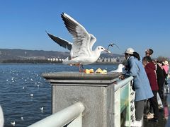 -滇池海埂公园
