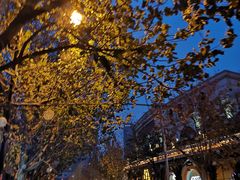 -天津五大道文化旅游区