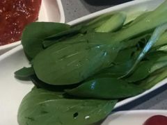 鸡毛菜-海底捞火锅(九霄梦天地店)