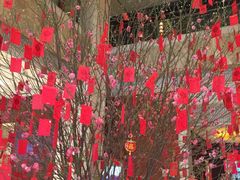 -桂花楼淮扬中餐厅(浦东香格里拉店)