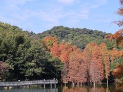 -广州市白云山风景名胜区
