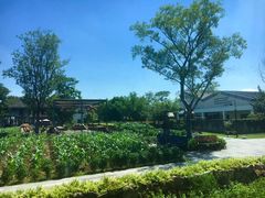 -田园东方蜜桃村的田野营地