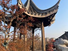 -芥子园