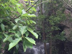 -天目湖山水园